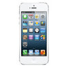 Apple iPhone 5 16Gb white - Кандалакша