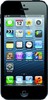 Apple iPhone 5 16GB - Кандалакша